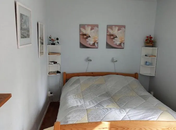 Ilmastoitu Kesaemoekki Askolassa Laehellae Porvoota