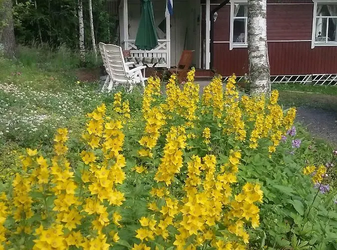 Ilmastoitu Kesaemoekki Askolassa Laehellae Porvoota 度假居